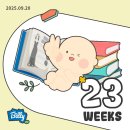 개미종합상사 | 뽀물이 23주차 아기 특징 정보&amp;임산부 일기 일상들&amp; 임신 23주차 태동 증상 건강상태