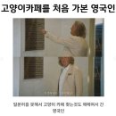 카페처음 - 종로구 통일로 246-10 | 카페처음
