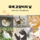 💌 생일파티 초대장 😽 8월 8일 고양이의 날, 댓글 하나 당 1000원을 카카오가 대신 기부한대요! 행복한 고양이가 되,, 이미지