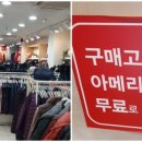 올리브8038