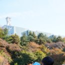 용인대학교 교육대학원 | 용인대 체육학과 교육대학원 , 중앙대 캠퍼스 생활 후기