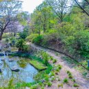 장충단공원 이미지