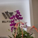 윌 피티 짐 이미지