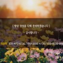 태백산약초원 이미지