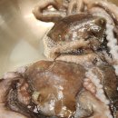 석화해물 이미지