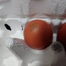 벧엘농장2 이미지