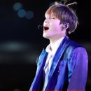 오늘도 댕댕 이미지