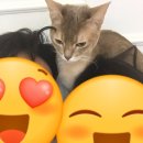 루아펫 | 여기저기 돌아다닌 주말. 항상 그러긴해~