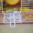 둥이마트 이미지