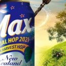 맥스호프 이미지