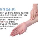 피노코로 이미지