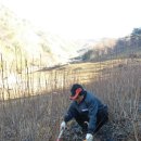 하늘아래첫농장 Daum카페