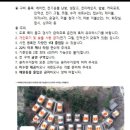 간현관광지 캠핑장 이미지