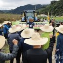 목소리 농로 이미지