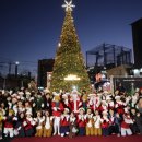 홍대 레드로드 이미지