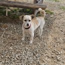 죽빵훈련소 이미지