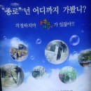 김봉농장 | 6월 일기