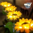 해바라기태양광 이미지