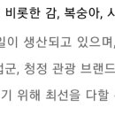 상부용로1-1 이미지