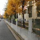 원종로9번길 이미지