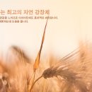 보리한의원 이미지