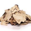 봄뜰부부한의원 이미지