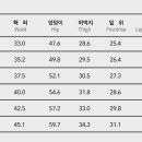 스톤피그