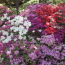 가좌근린공원 이미지