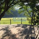 수동초등학교 이미지