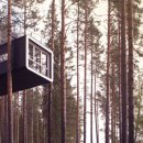 호텔나무 이미지