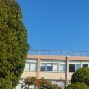 6.25참전학도병  이미지