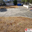 성주당구장 이미지