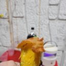 더노을 이미지