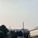 삼장주유소 이미지