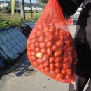 둔내면재래시장 이미지