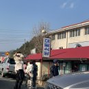 정겨운 식당 | 현지인 맛집 정겨운 대일식당 내돈내산 후기(추천)