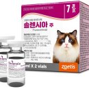 도곡치유동물병원 이미지