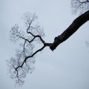 남해-276 이미지