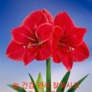 부광부동산공인중개사사무소 이미지
