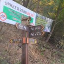 용덕주유소 이미지