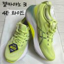 도쿄 러닝화 안정화 쇼핑 아식스 &#39;젤카야노 31 4E&#39; (1편)