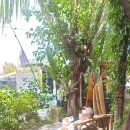 진카페(zin cafe) 이미지