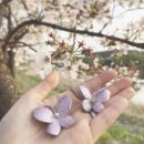 나비가죽공방 이미지