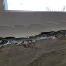 대야빌딩 이미지