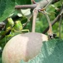 자연쉼터 이미지