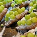 Mucca(무카) 이미지