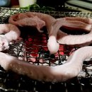 땡초꼼장어 이미지