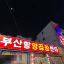 부산항양곱창 | [부산/영도] "부산항 양곱창" 이모카세 7번집 내돈내산 후기❤️