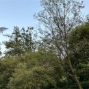 다온이네 이미지