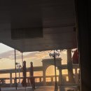 제일견인운수 | 뉴질랜드 워홀[D+97-98 : 음료 레시피 커스텀 놀이, 벼르던 브리또, 친절하고 삭막한 뉴질랜드(feat...